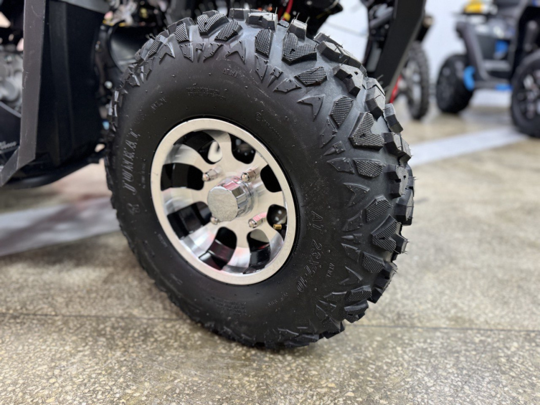 PROMAX ATV 250 MAX (2025)